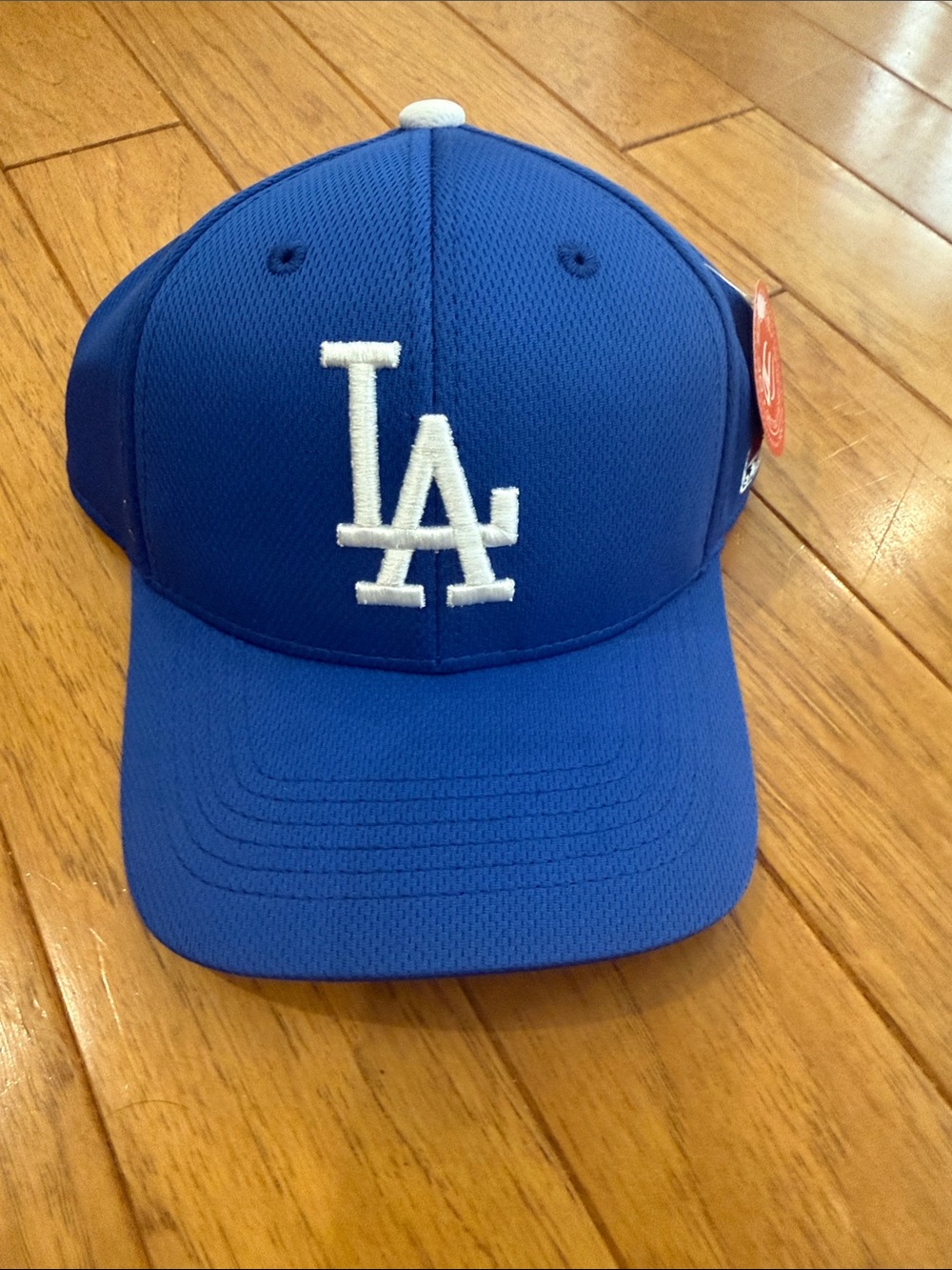Los Angeles Dodgers Kids Royal Blue MLB Logo Cap